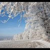 20071229_164